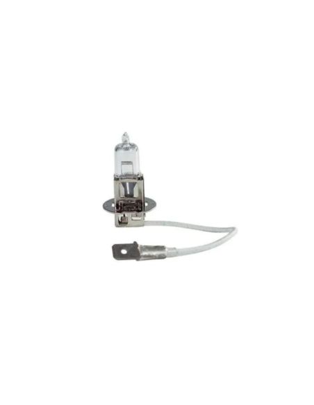 AMPOULE H3 24 VOLTS