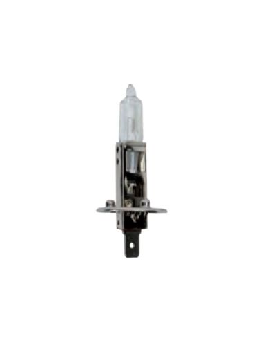 AMPOULE H1 24 VOLTS