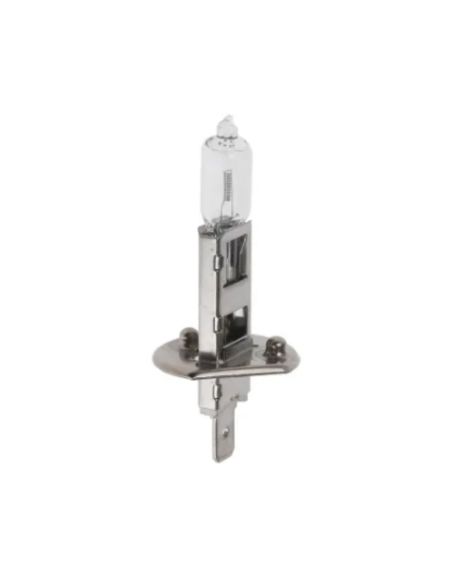 AMPOULE H1 24 VOLTS