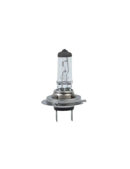 AMPOULE H7 24 VOLTS