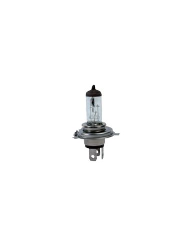 AMPOULES H4 24 VOLTS