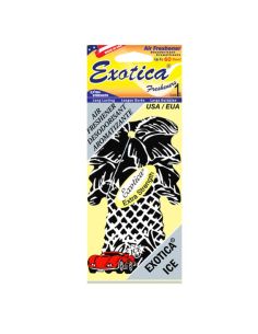 DESODORISANT PALMIER ICE BLACK