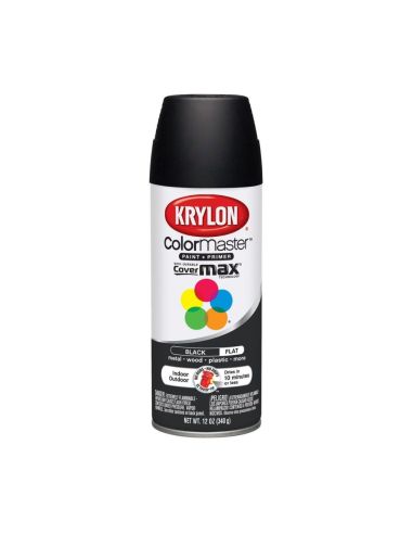 PEINTURE INTERIEURE/EXTERIEURE DUPLICOLOR NOIR 12 OZ
