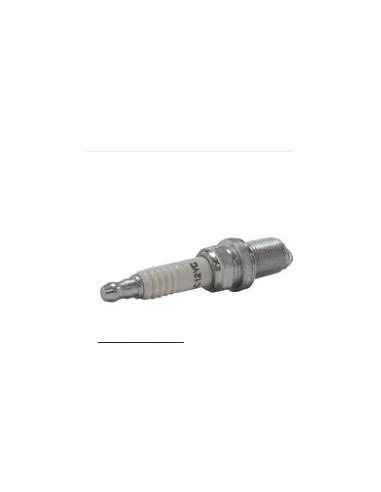 CHAMPION BOUGIE RS14YC (PAR 2)