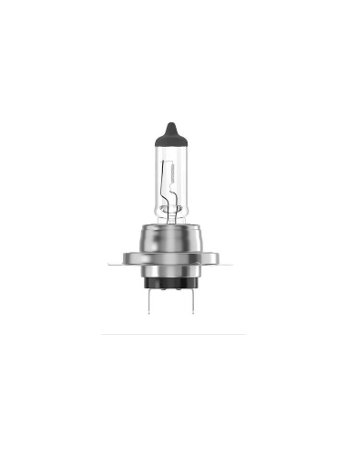 AMPOULE H7 12V 55W Px26