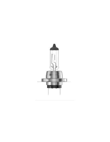 AMPOULE H7 12V 55W Px26