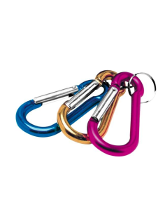 PORTE-CLES A ANNEAU EN D