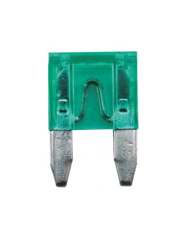 MINI FUSIBLES 30AMP (PAR 5)