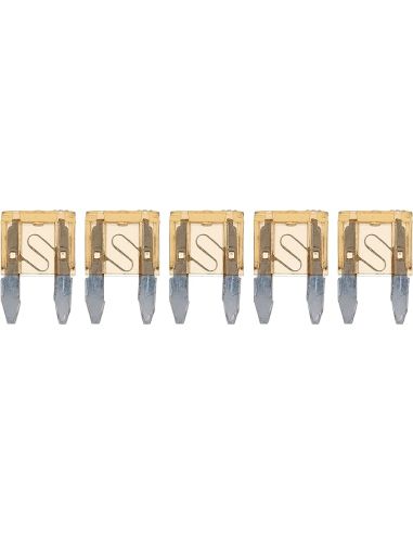 MINI FUSIBLES 5AMP (PAR 5)
