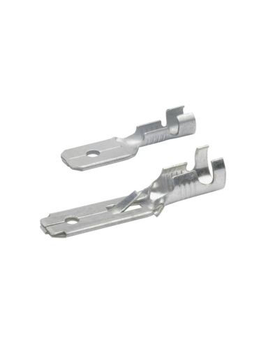 COSSES PLATES MÂLES SANS FOND X10